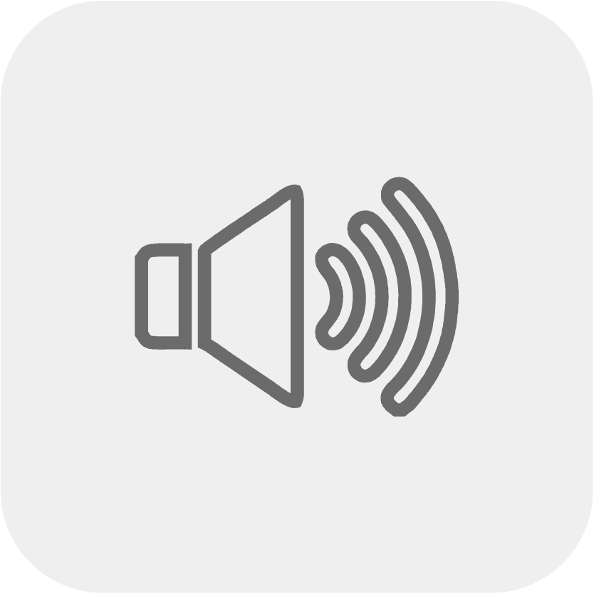 Grey outline icon of a speaker with sound waves emitting from it